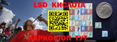 стаф Заводоуковск